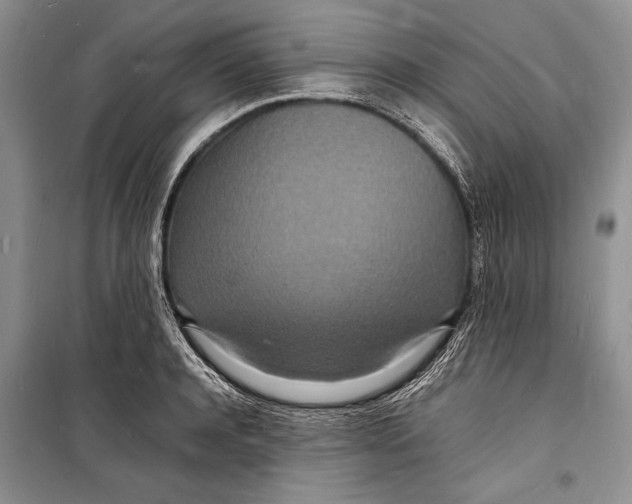 X0000098180944200805151137