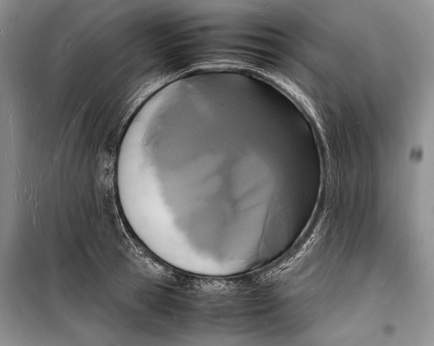 X0000098180945200805151137