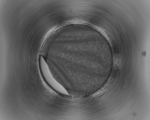 X0000098180946200805151137