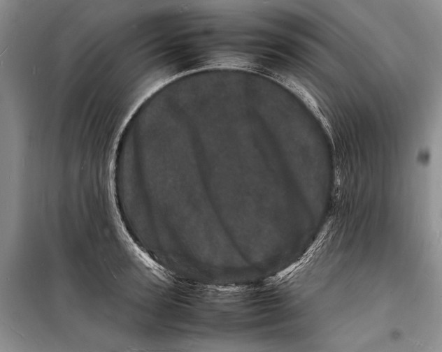 X0000098180947200805151137