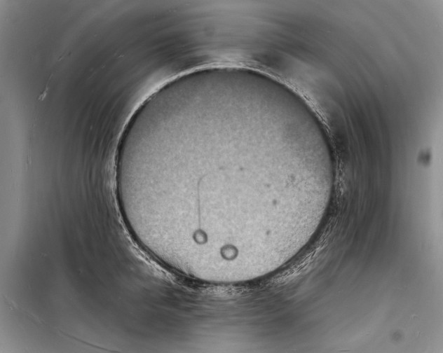 X0000098180950200805151137