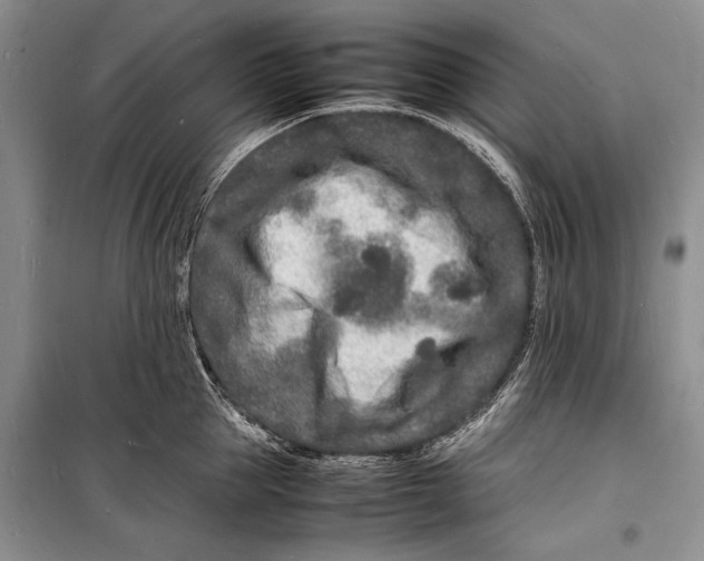 X0000098180953200805151137