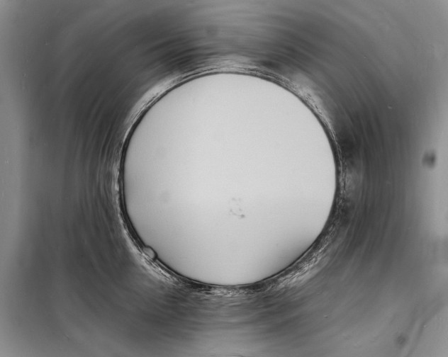 X0000098180954200805151137