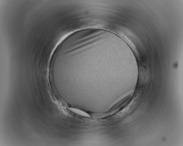 X0000098180956200805151137