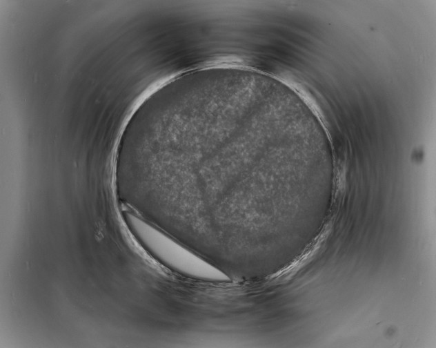 X0000098180957200805151137