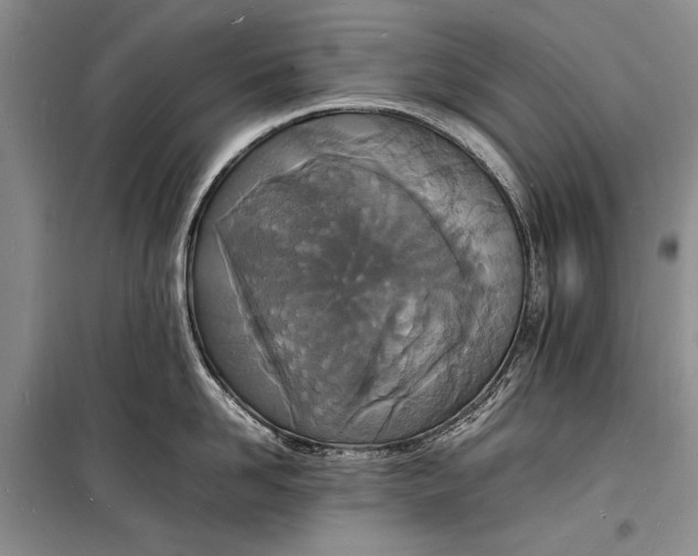 X0000098180958200805151137