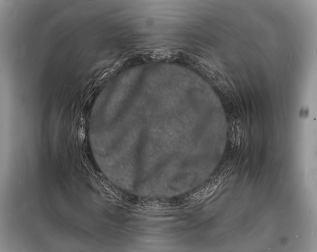 X0000098180962200805151137