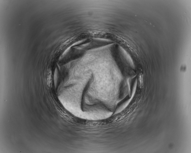 X0000098180963200805151137