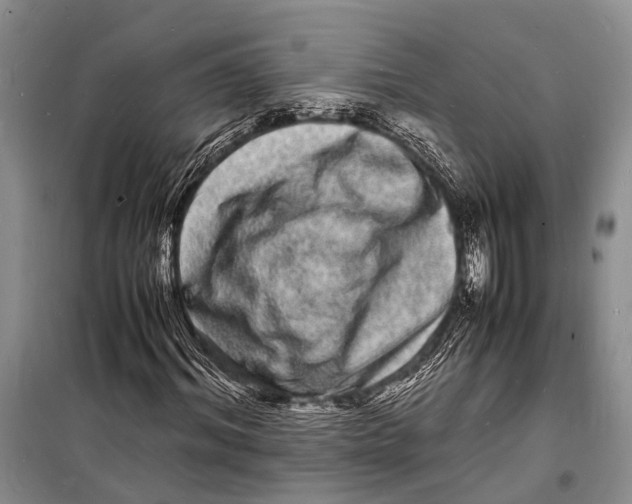 X0000098180964200805151137