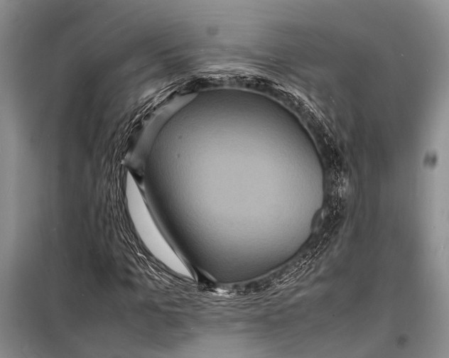 X0000098180965200805151137