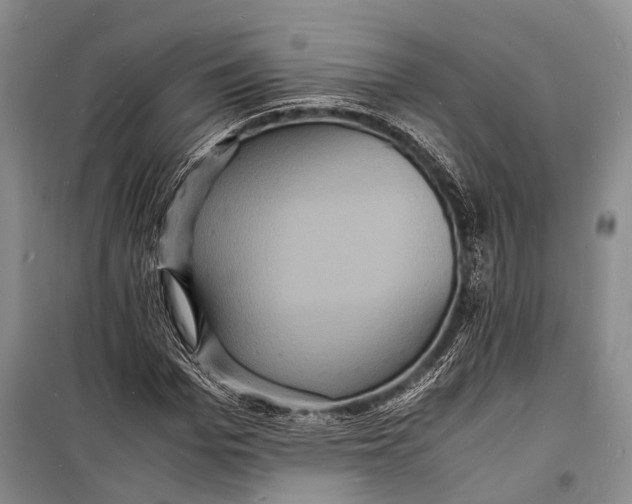 X0000098180969200805151137