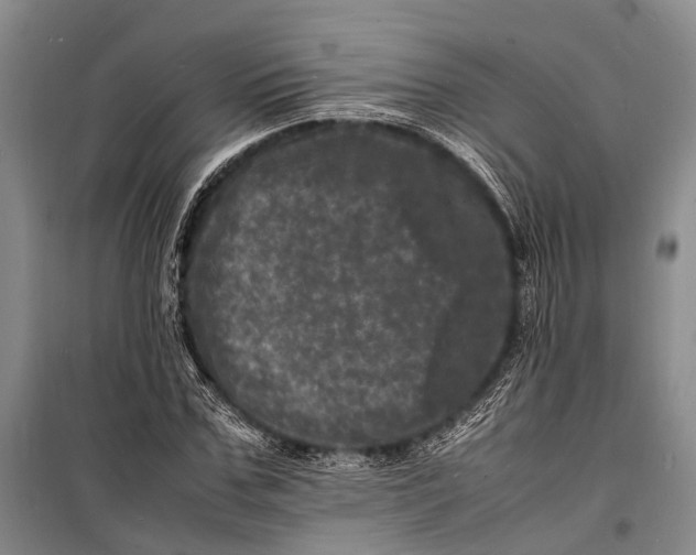 X0000098180971200805151137