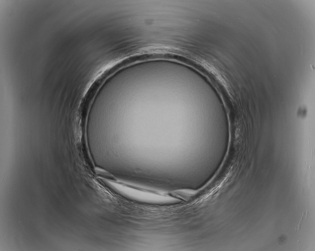 X0000098180973200805151137