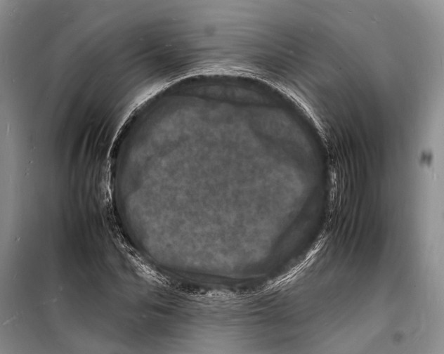 X0000098180974200805151137