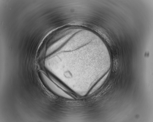 X0000098180976200805151137