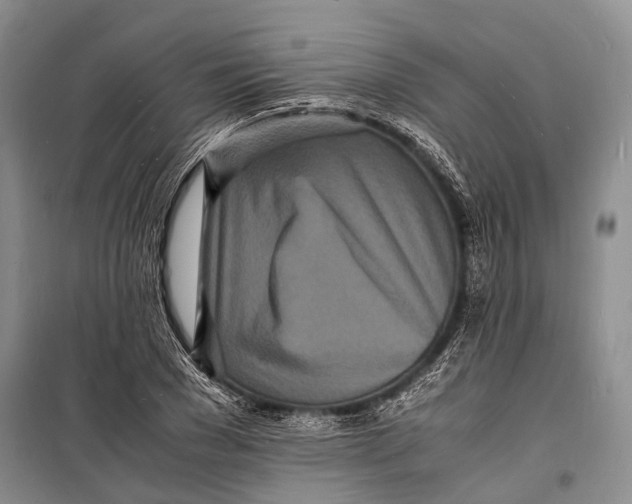 X0000098180977200805151137