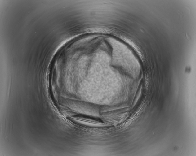 X0000098180983200805151136