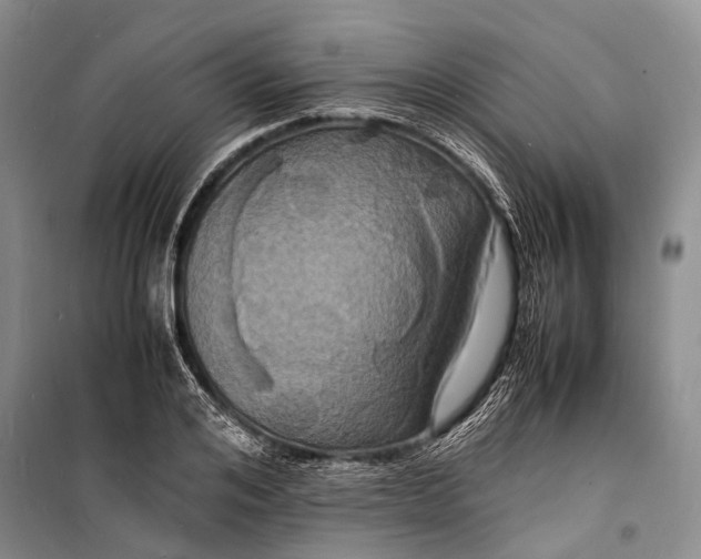 X0000098180984200805151136