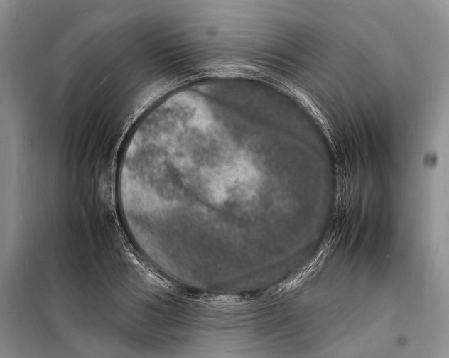 X0000098180986200805151136