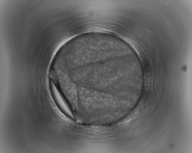 X0000098180987200805151136