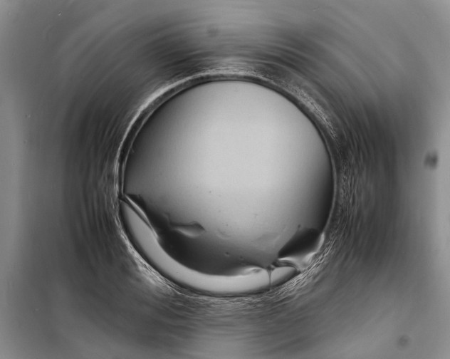 X0000098180988200805151136