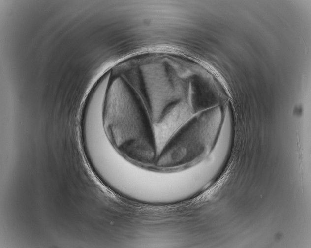 X0000098180989200805151136