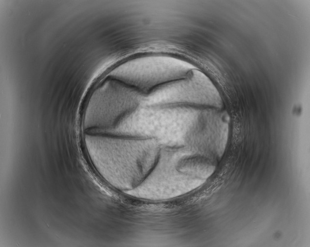 X0000098180990200805151136