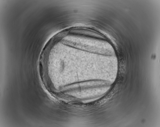 X0000098180991200805151136