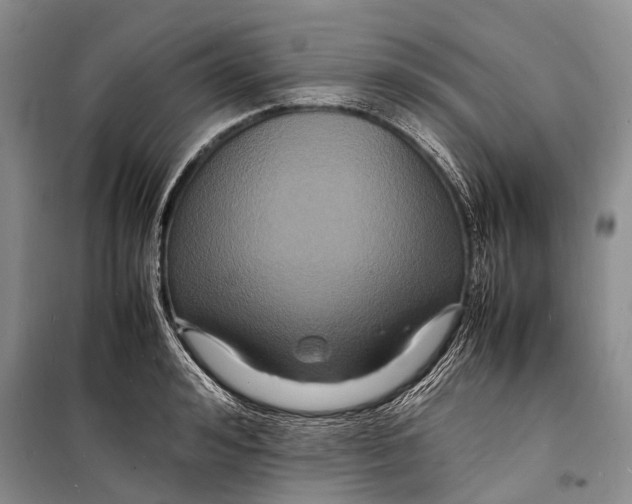 X0000098180992200805151136