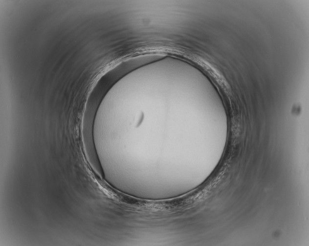 X0000098180993200805151136