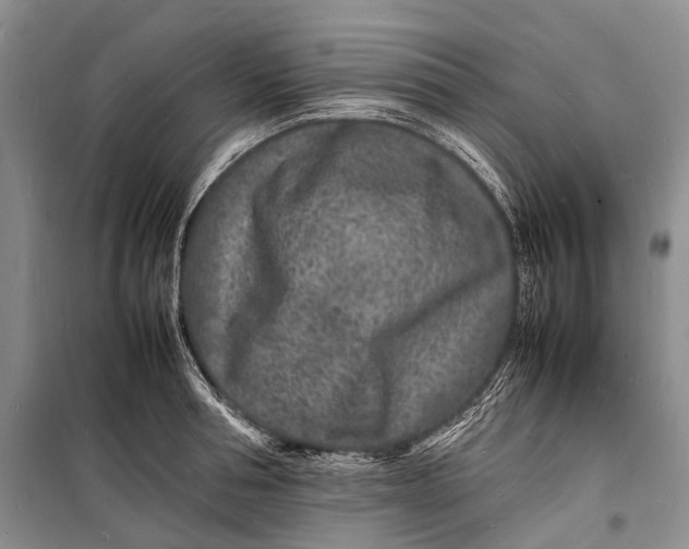 X0000098180994200805151136