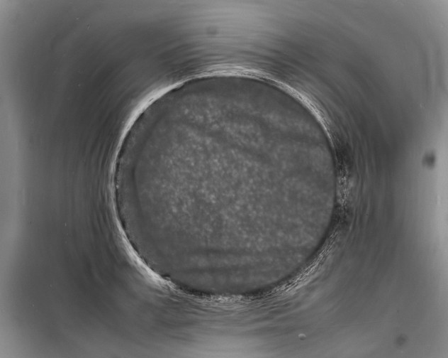 X0000098180995200805151136