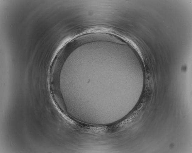 X0000098180997200805151136