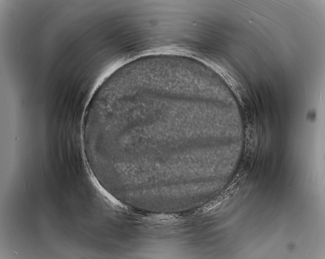 X0000098180998200805151136