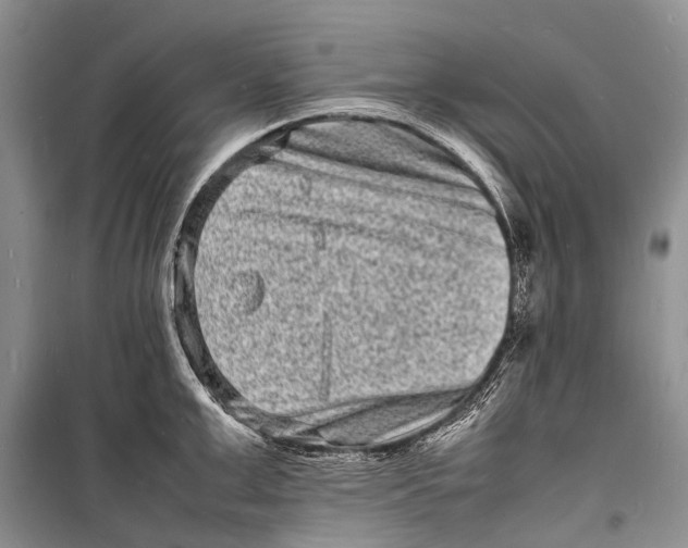 X0000098180999200805151136