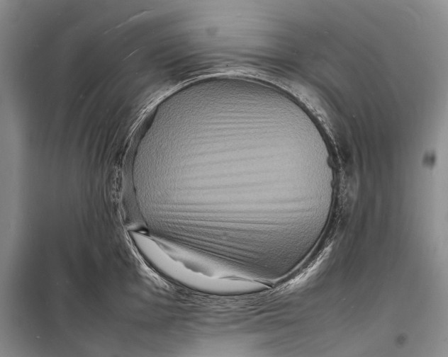 X0000098181001200805151136