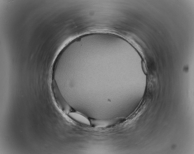 X0000098181005200805151136