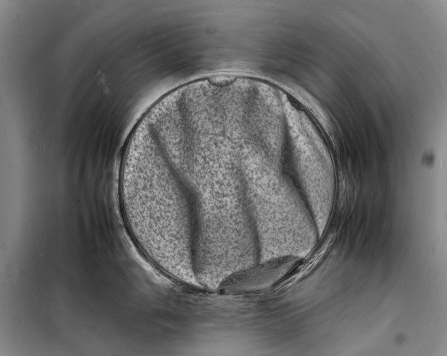 X0000098181006200805151136