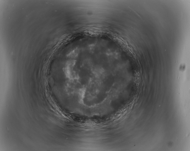 X0000098181009200805151135