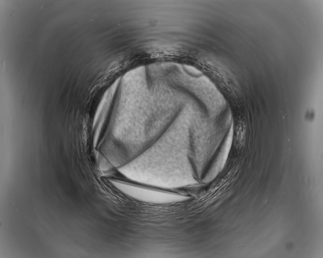 X0000098181012200805151135