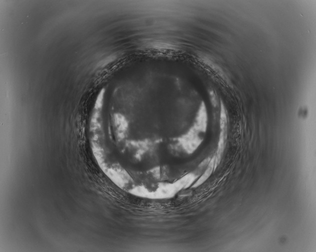 X0000098181013200805151135