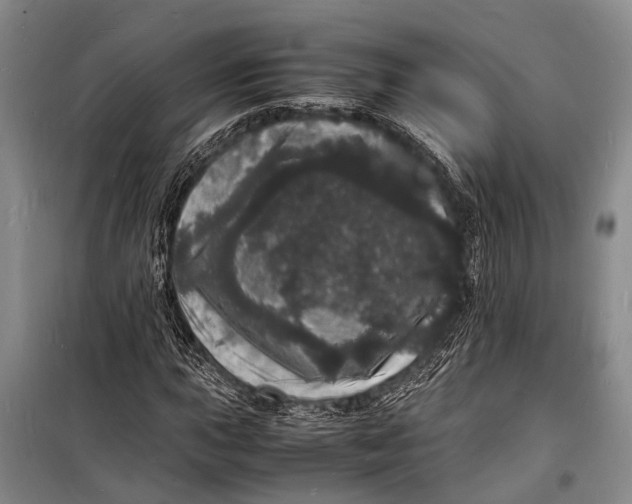 X0000098181015200805151135