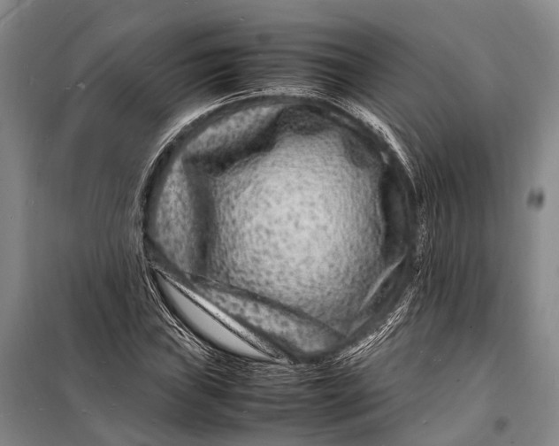 X0000098181019200805151135