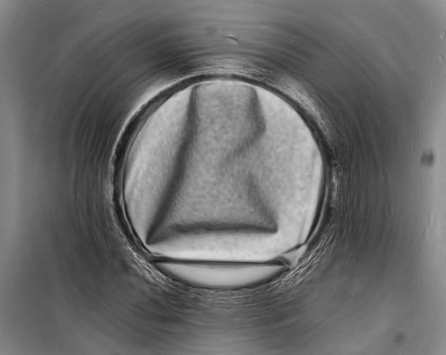 X0000098181020200805151135