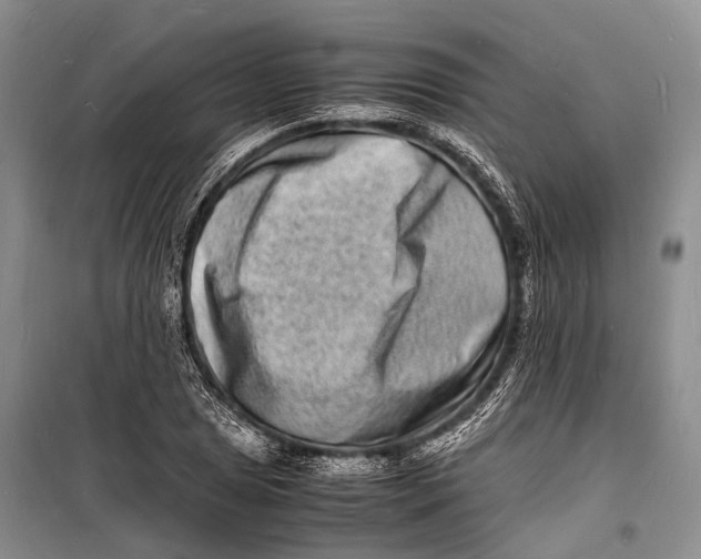 X0000098181025200805151135