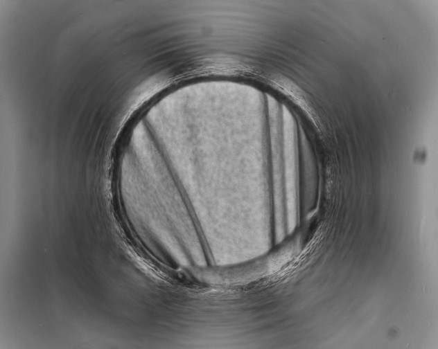 X0000098181026200805151135