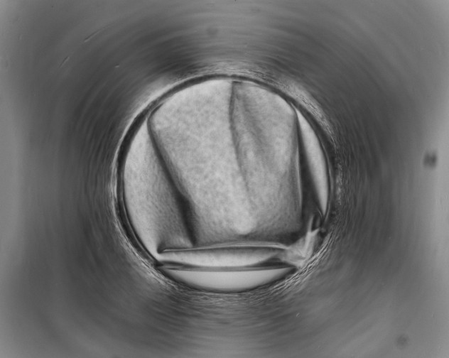 X0000098181028200805151136