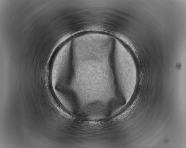 X0000098181029200805151136