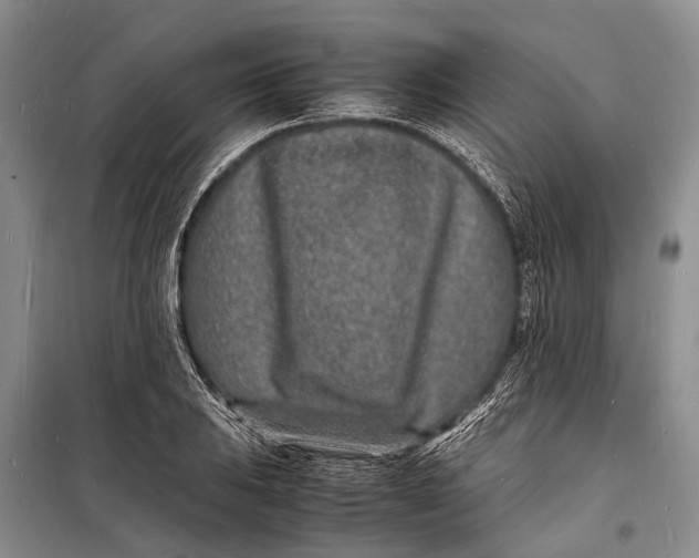 X0000098181031200805151136