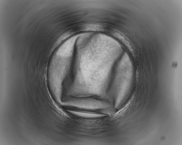 X0000098181033200805151136